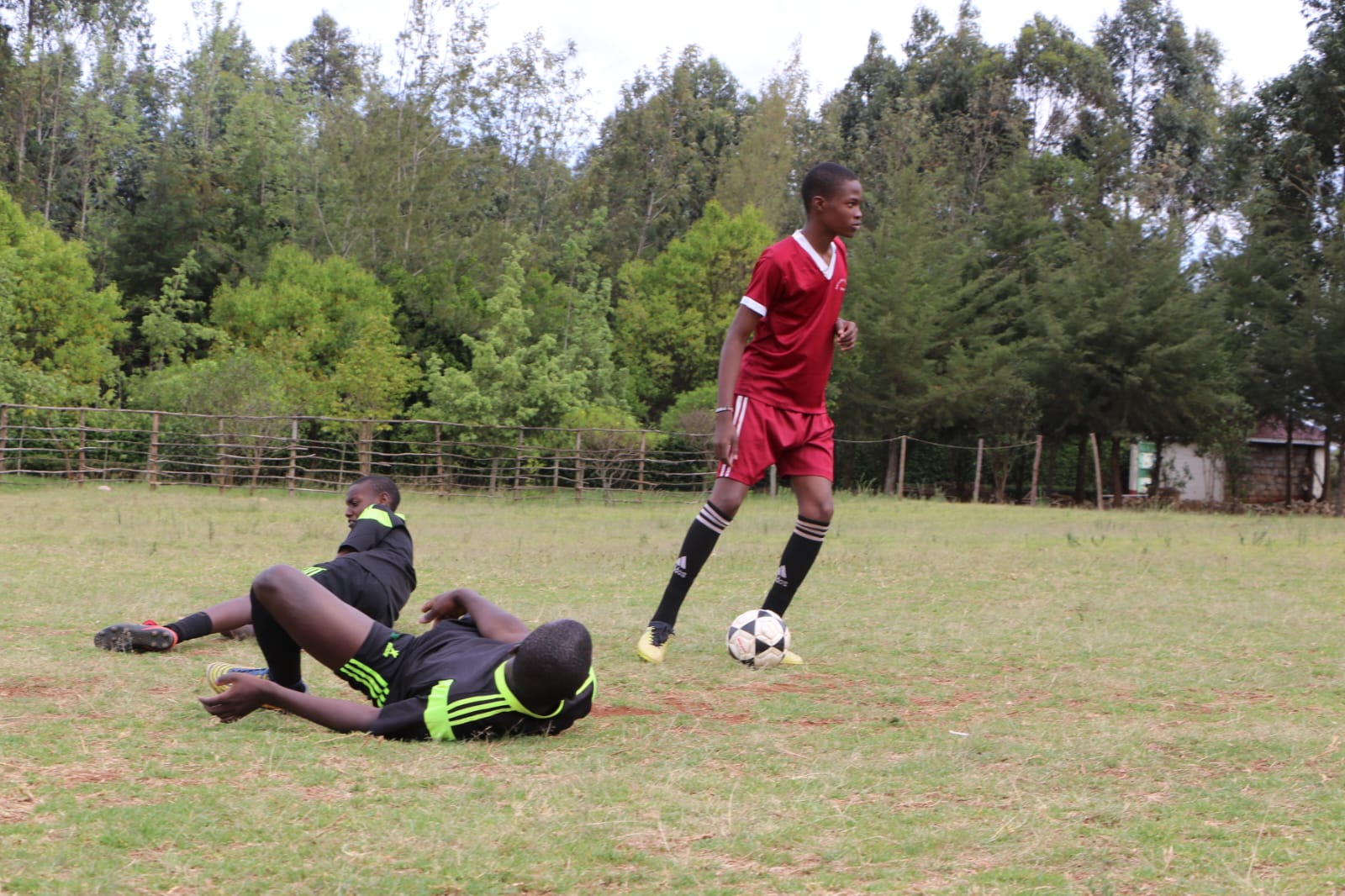 Skyline gallery